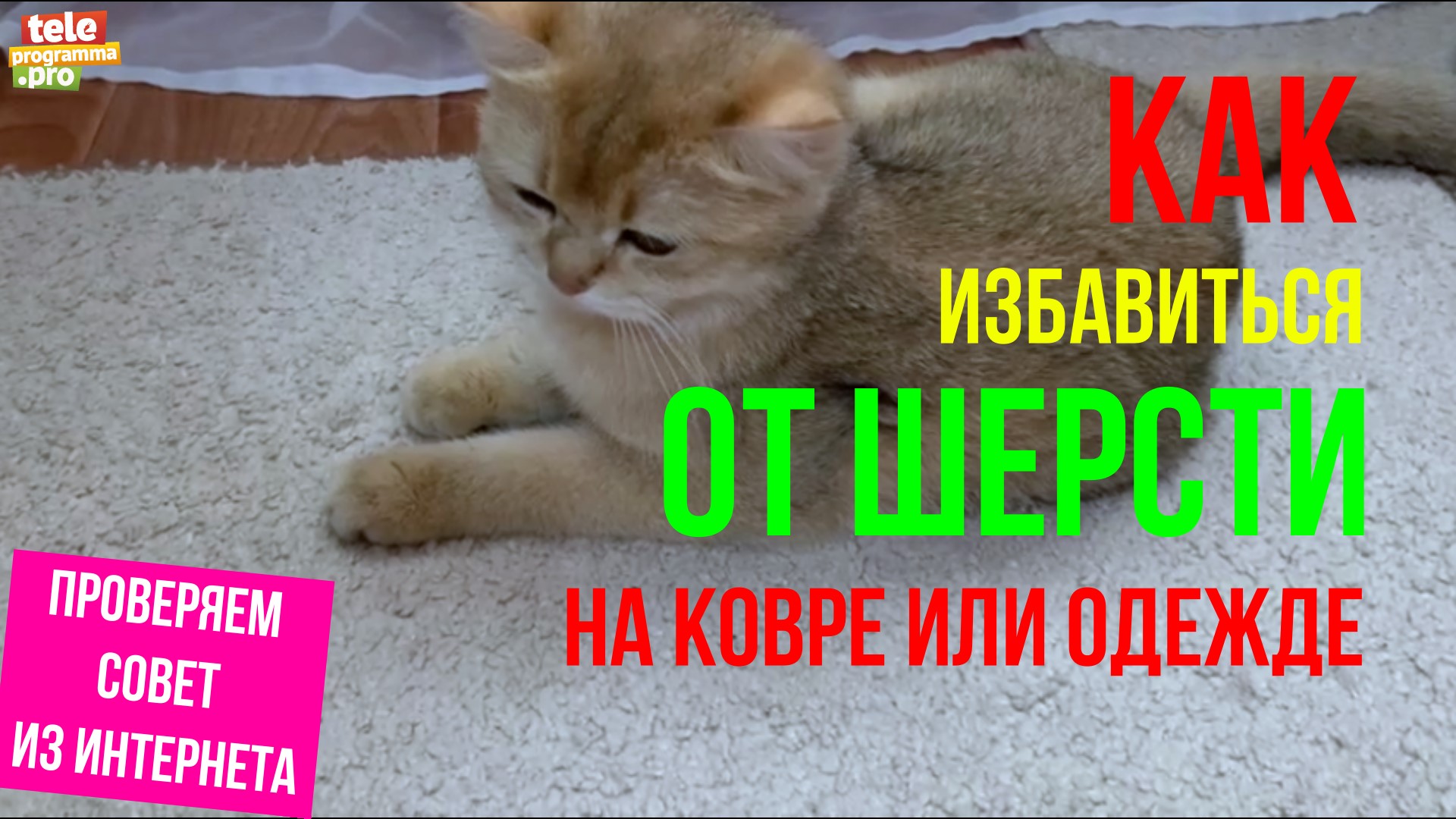 Как избавиться от шерсти домашних животных на ковре и одежде смотреть онлайн