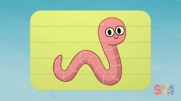 Learn words that start with the Letter W | Education for Kids