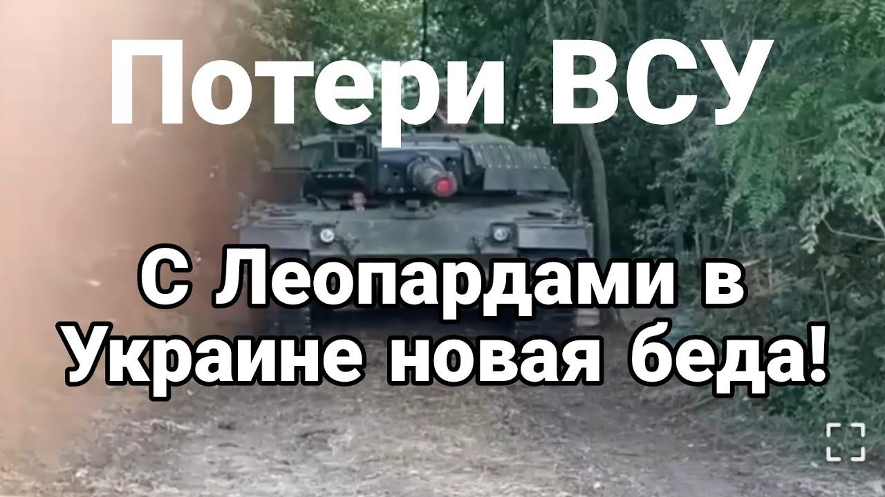 С ЛЕ0ПАРДАМИ ОПЯТЬ БЕДА! Большие П0ТЕРИ!