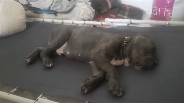 Бежим во сне смотреть онлайн