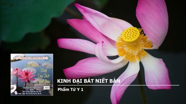 [PHẦN 10/79] KINH ĐẠI NIẾT BÀN: PHẨM DANH TỨ Y 1. смотреть онлайн