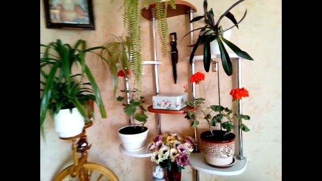 Полки, полочки и подставки по Тернопольски. (Рус.версия) смотреть онлайн