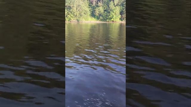 Ямабиси 3.5 лс смотреть онлайн