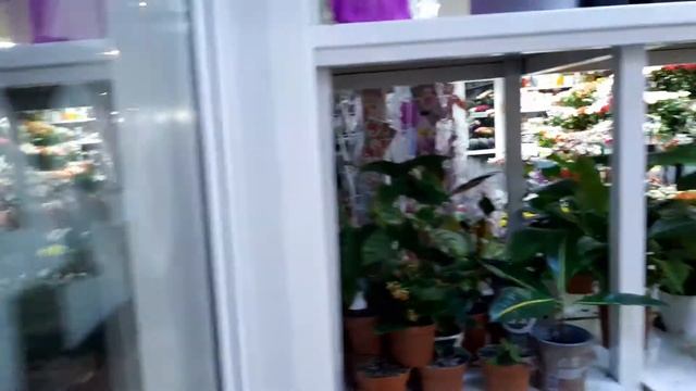 Где купить цветы? смотреть онлайн