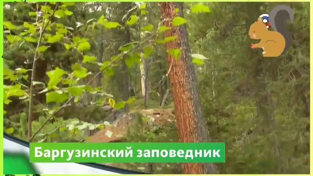 Баргузинский заповедник гордость нашей страны смотреть онлайн