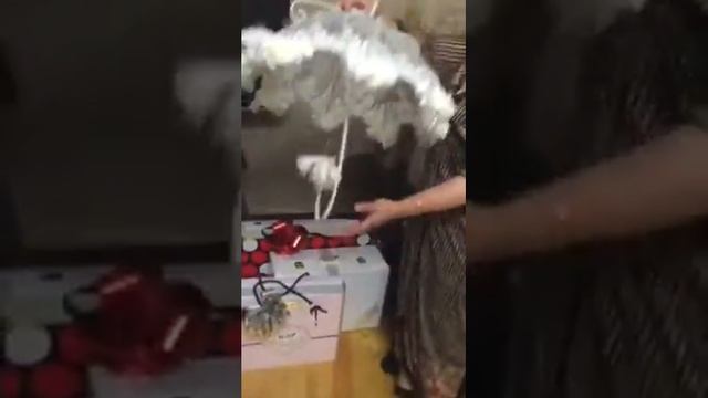 Даргинское сватовство смотреть онлайн