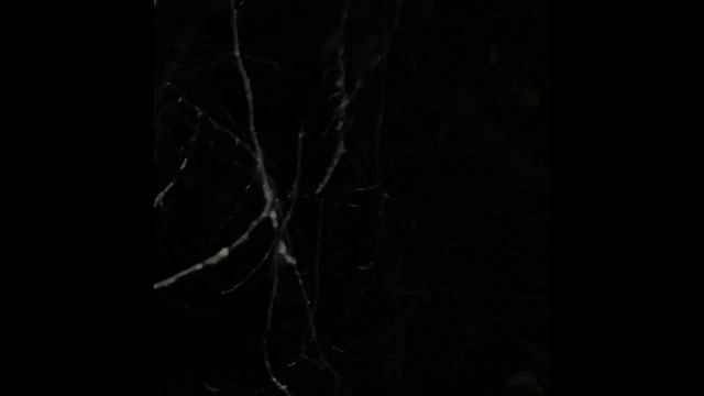 "Я часто думаю о смерти..." Ольга Негру смотреть онлайн