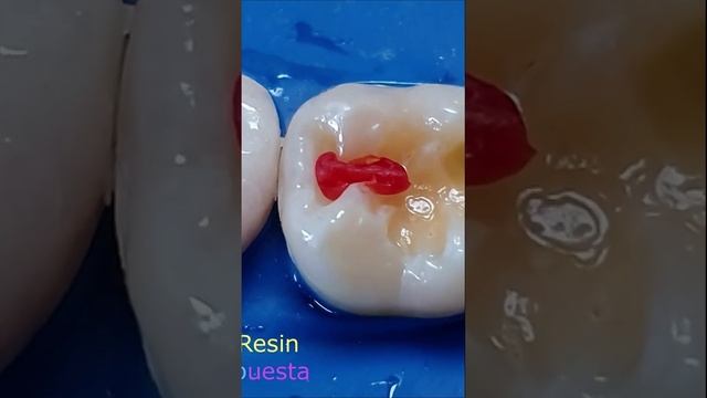 Red beauty! смотреть онлайн