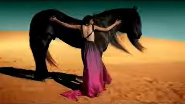 Sting Desert Rose original song смотреть онлайн