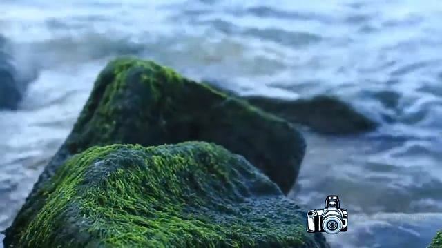 Learn bokeh/Videography north coast of Java island смотреть онлайн