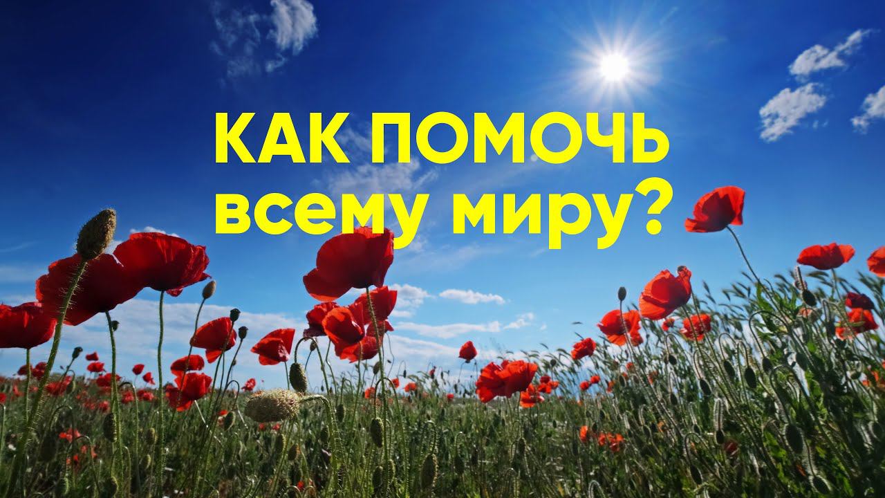 Как помочь всему миру? смотреть онлайн