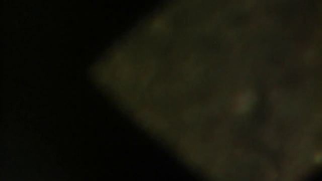 Личинка нематоды смотреть онлайн