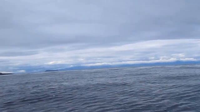 Компасы 380S на Байкале. Огибаем Верхнее изголовье из Чивыркульского залива. смотреть онлайн