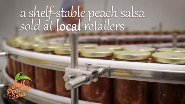 2016 Campbell Soup Just Peachy