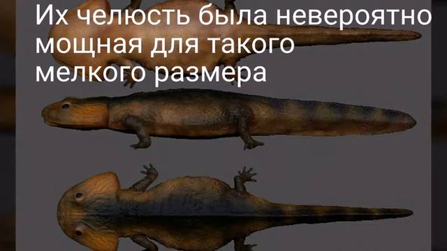 Кулазух смотреть онлайн