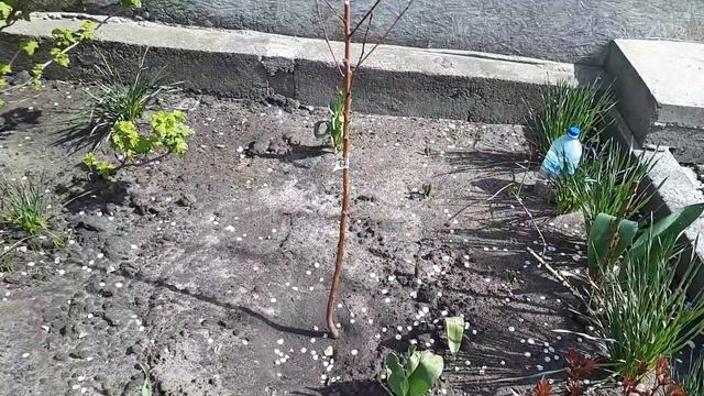 ДОЛОЙ ДЕЛА ДОНЯ ПРИЕЗЖАЕТ смотреть онлайн