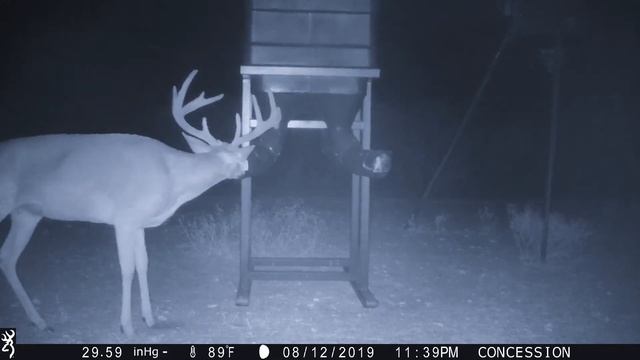 It's almost hunting season. смотреть онлайн