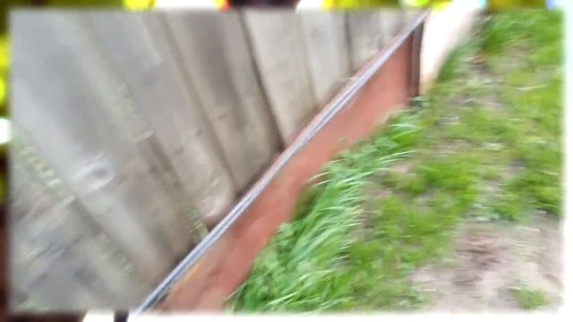Делаем угловую шпалеру для винограда (просто и без бетона). Результат с пояснениями. смотреть онлайн