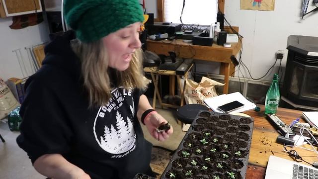Potting Up Lisianthus : Answering Your Lisianthus Questions! : Flower Hill Farm смотреть онлайн