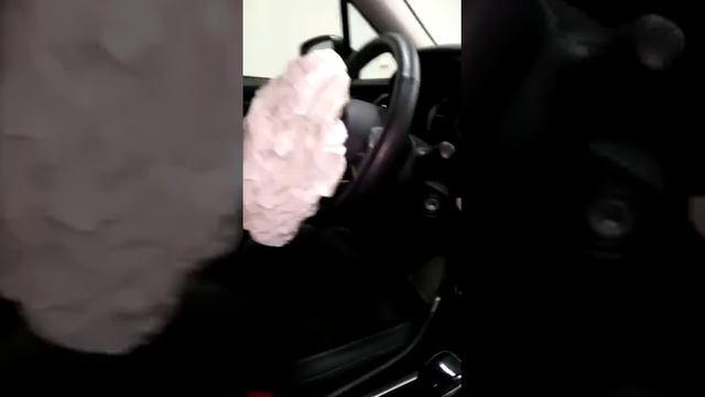 Восстановление системы безопасности Subaru Forester, ДО