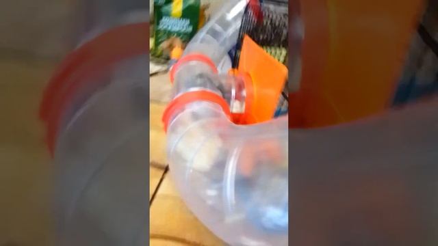 новая клетка для хомяков 2.        мои хомяки переехали жить в трубу.