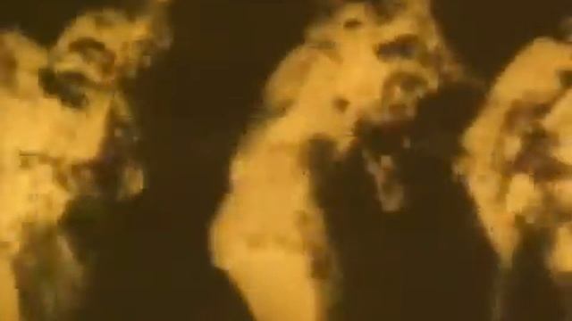 Bryan Ferry - Dont Stop The Dance.mp4 смотреть онлайн