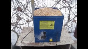 Откорм бычков: комбикорм от 6 до 18 месяцев