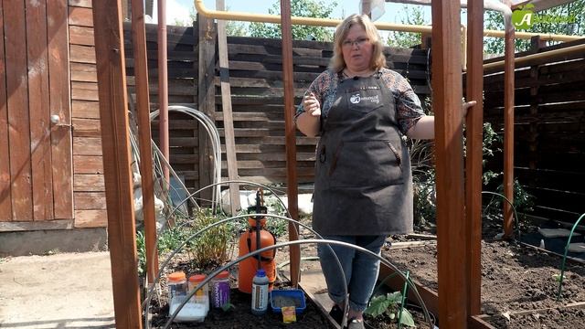 Подкормка огурцов в теплице и открытом грунте. Больше никаких кривых и горьких огурцов!