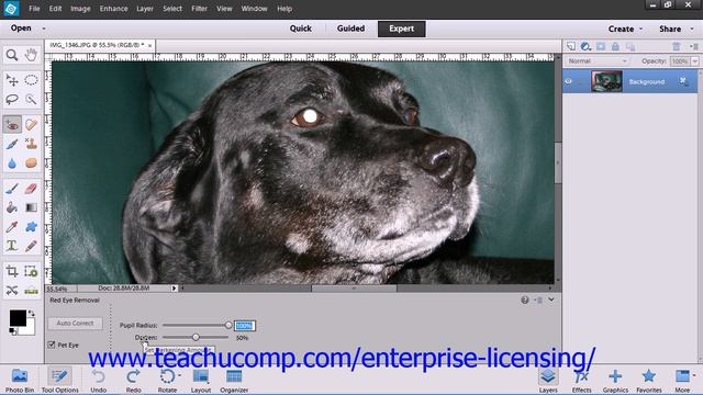 Adobe Photoshop Elements 12 Tutorial Lighting Color Contrast & Clarity Employee Group Training 14.2 смотреть онлайн