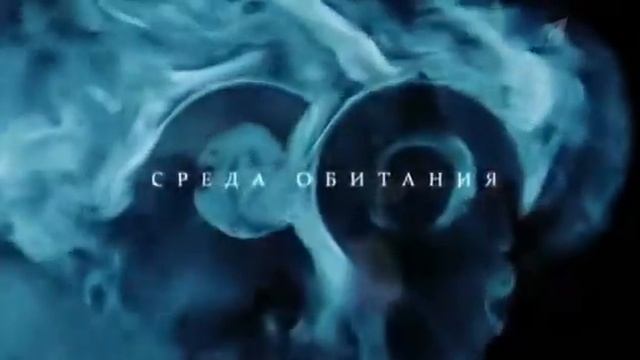 ЛикБез. Консерванты в продуктах смотреть онлайн