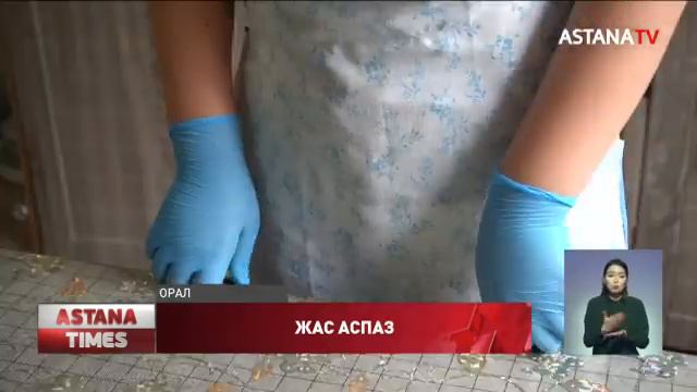 Оралдық мектеп оқушысы торттың 40 түрін пісіреді смотреть онлайн