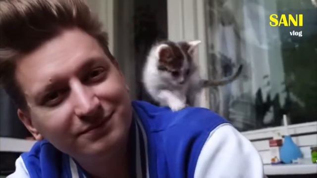 @SANISHOWспасение бездомного котенка помогите найти дом если не можете забрать распостроните это!