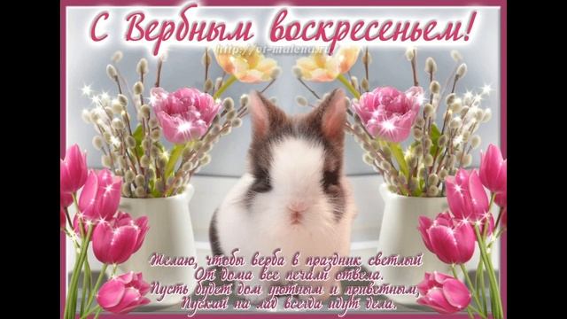 С Вербным Воскресеньем ! Красивое Поздравление с Вербным Воскресеньем! Музыкальная Видео Открытка! смотреть онлайн