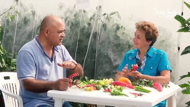 Жгучий перец для красоты и здоровья Будем сажать! смотреть онлайн