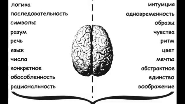 Как разбудить сверхвозможности Вашего мозга смотреть онлайн