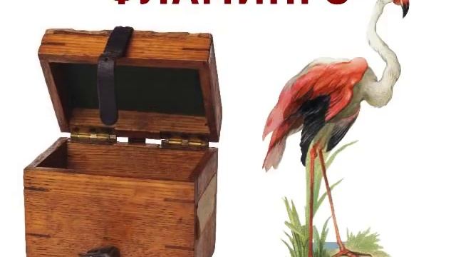 Звук и буква Ф для дошкольников смотреть онлайн