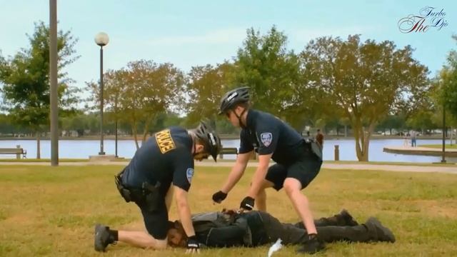 Студенческие сказки смотреть онлайн