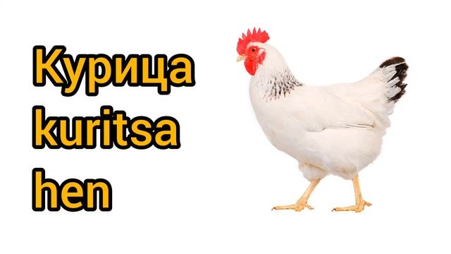 Как произносится курица по-русски смотреть онлайн