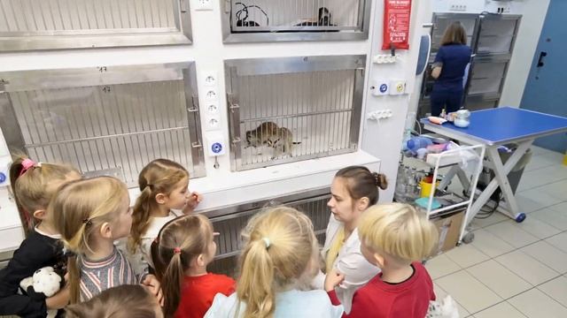 Экскурсия в ветеринарную клинику. Экзоты