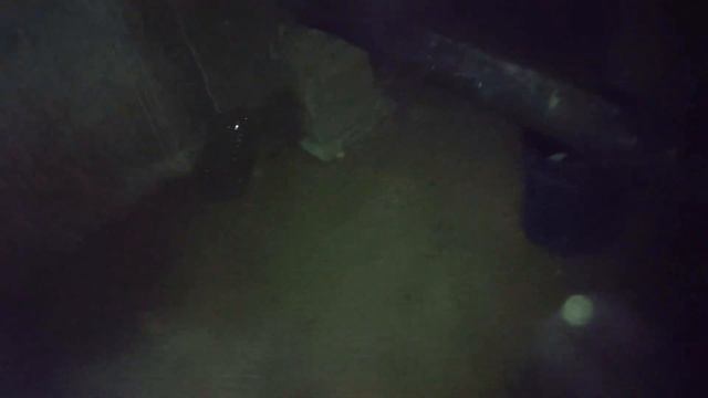 Похождение по закулисью "уровень 228" было страшно и смешно смотреть онлайн