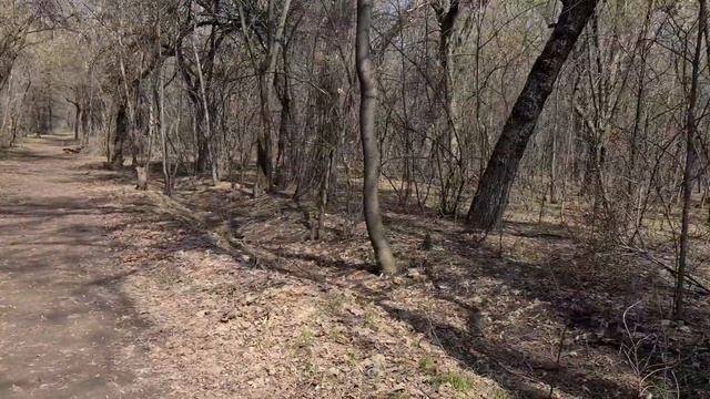 Коп в парке/Скамуниздили рюкзак ? смотреть онлайн