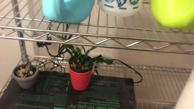 Welcome 2020! New grow space and new Grow Lights! смотреть онлайн