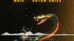 Мrid & Artem Smile - Ядовитая змея.