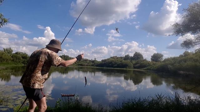 Плотва жарким днем, на кукурузу. смотреть онлайн
