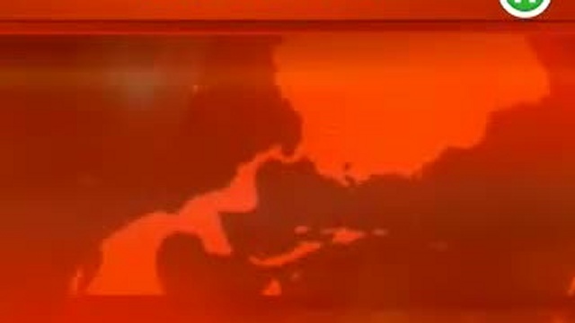 В Київському зоопарку помер слон смотреть онлайн