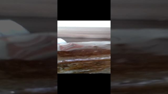 м̆̈ӗ̈м̆̈ смотреть онлайн