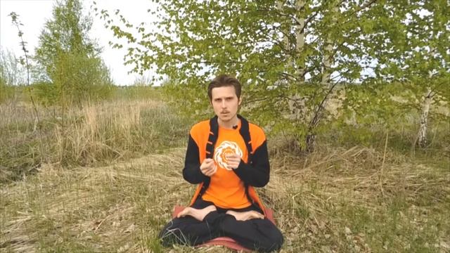 Для чего нужны Асаны в йоге ? Алексей Куяшов. смотреть онлайн