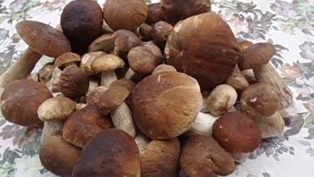 Изображение 033 смотреть онлайн