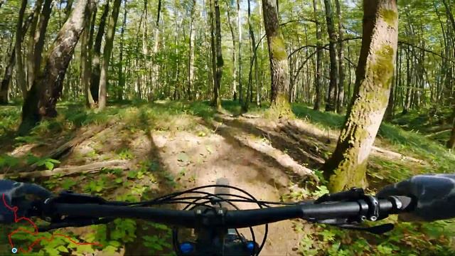 Новый трейл Берёзовый в Битце смотреть онлайн