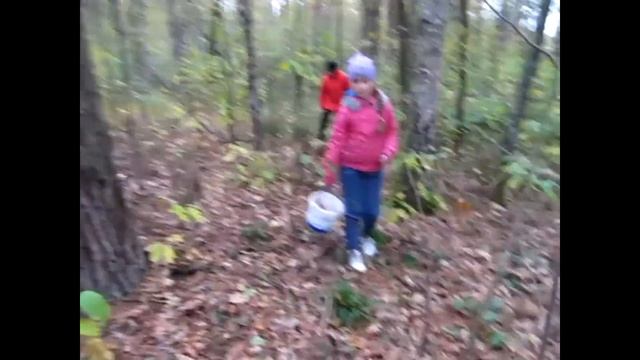 БІЛІ ГРИБИ ЗАКРИТТЯ СЕЗОНУ 2020. смотреть онлайн